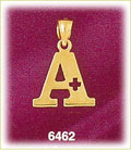 14K Gold A+ Charm