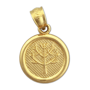 14K Gold Seven Wishes Long Life Charm 14k gold seven wishes long life charm