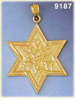 14K Gold Star of David 14K Gold w/Tree of Life Pendant