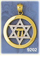 14K Gold Two Color Star of David Jewish Star Pendant