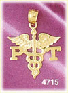 14K Yellow Gold Caduceus Physical Therapist Medic Alert Charm