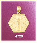 14K Yellow Gold Star Of Life Rod Of Asclepius Medic Alert Charm
