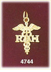 14K Yellow Gold Registered Dental Hygienist RDH Caduceus Medic Alert Charm