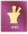 14K Yellow Gold Medical RX prescription Charm