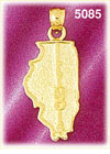14K Yellow Gold Illinois The Prairie State Map Charm