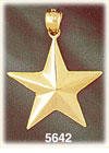 14K Yellow Gold Polished Pinwheel Star Celestial Charm