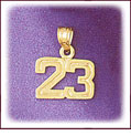 14K Yellow Gold High Polish Finish Number Charm