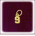 14K Yellow Gold High Polish Finish Small Number Charm