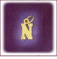 14Kt Yellow Gold Nugget Initial Charm