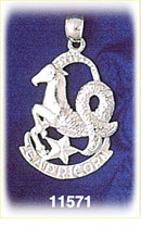14K White Gold Zodiac Capricorn Charm