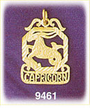 14K Gold Decorative Zodiac Capricorn Charm