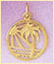 14k gold palm tree charm