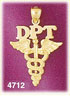 14K Yellow Gold DPT Doctor Of Physical Therapy Caduceus Medic Alert Charm