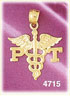 14K Yellow Gold Caduceus Physical Therapist Medic Alert Charm