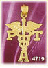 14K Yellow Gold PTA Physical Therapist Assistant Caduceus Medic Alert Charm