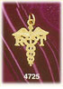 14K Yellow Gold RT Radiologic Technologist Medic Alert Charm
