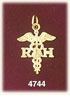 14K Yellow Gold Registered Dental Hygienist RDH Caduceus Charm