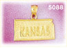 14K Yellow Gold Kansas The Sunflower State Map Charm