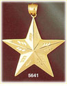 14K Yellow Gold Large Diamond Cut Pinwheel Star Celestial Charm