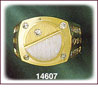 14Kt Two Tone Gold Round CZ Signet Ring For Men