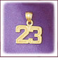 14K Yellow Gold High Polish Finish Number Charm