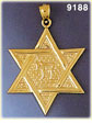 14Kt Yellow Gold Star of David w/Chai Life Pendant