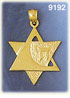 14K Gold Star of David w/Chai Life Pendant