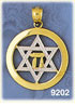 14K Gold Two Color Star of David Jewish Star Pendant
