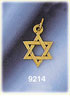 14K Gold Star of David Charm