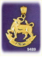 14K Gold Zodiac Taurus Charm